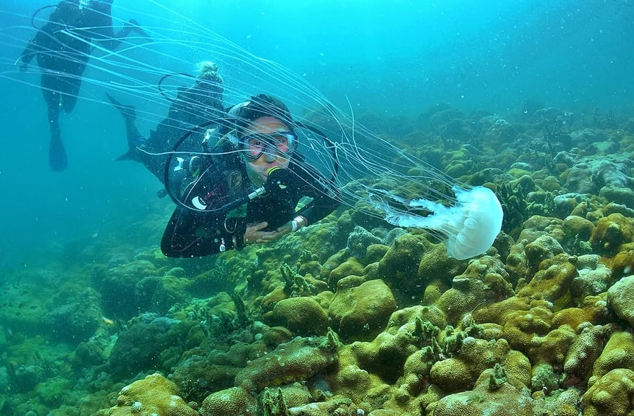 Mergulho em Arraial do Cabo