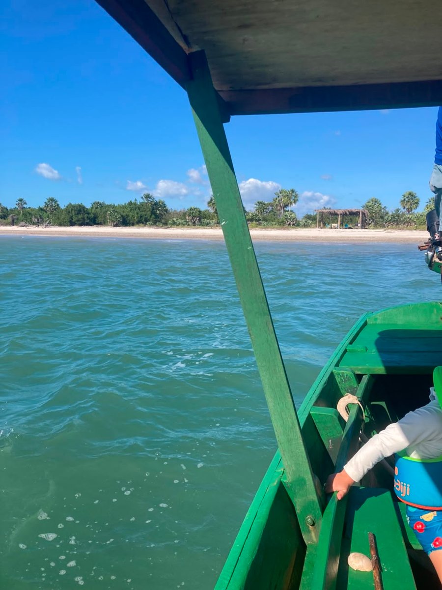 Passeio Santuário Peixe-Boi e Ilha das Conchas 