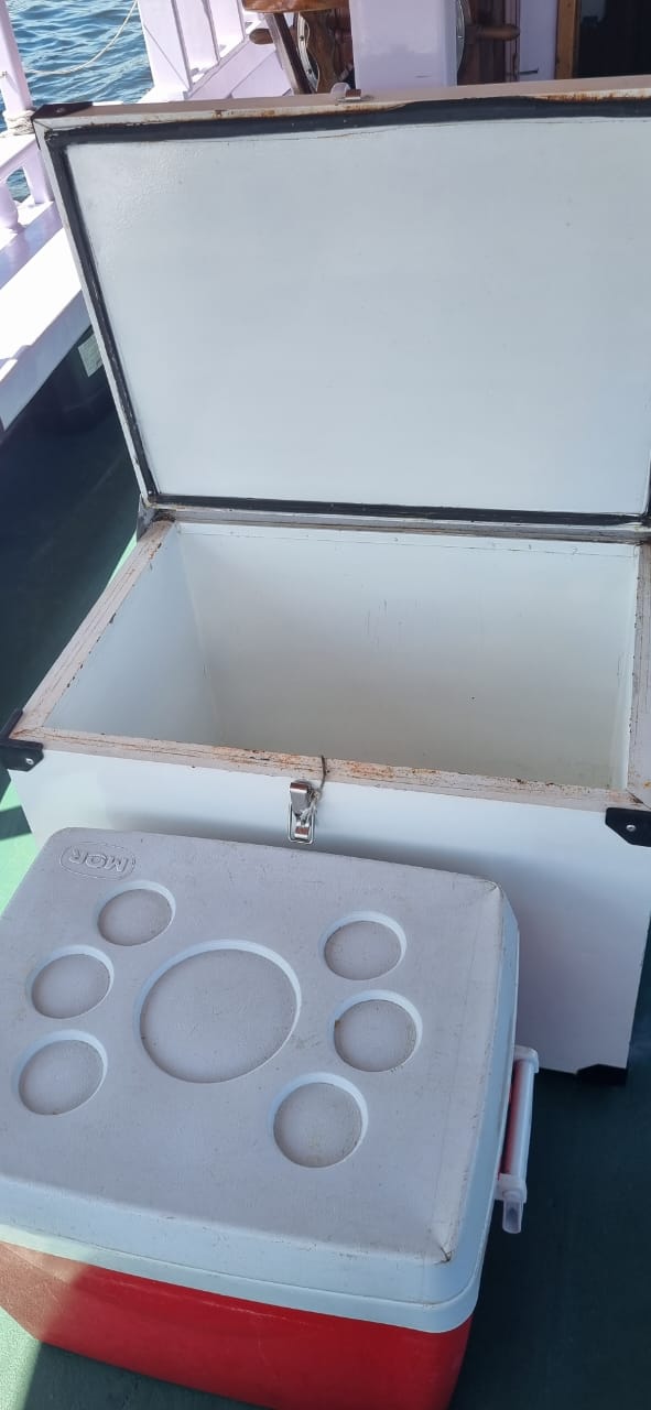 Aluguel de Escunas / Barcos para Passeio 