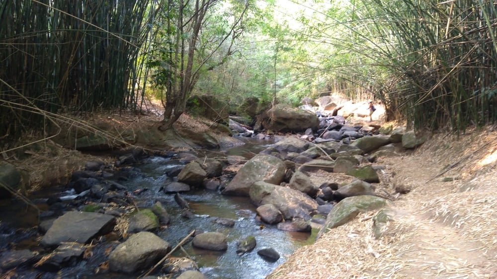 26/02 Day Use Parque de Aventuras Monjolinho e city tour em Socorro