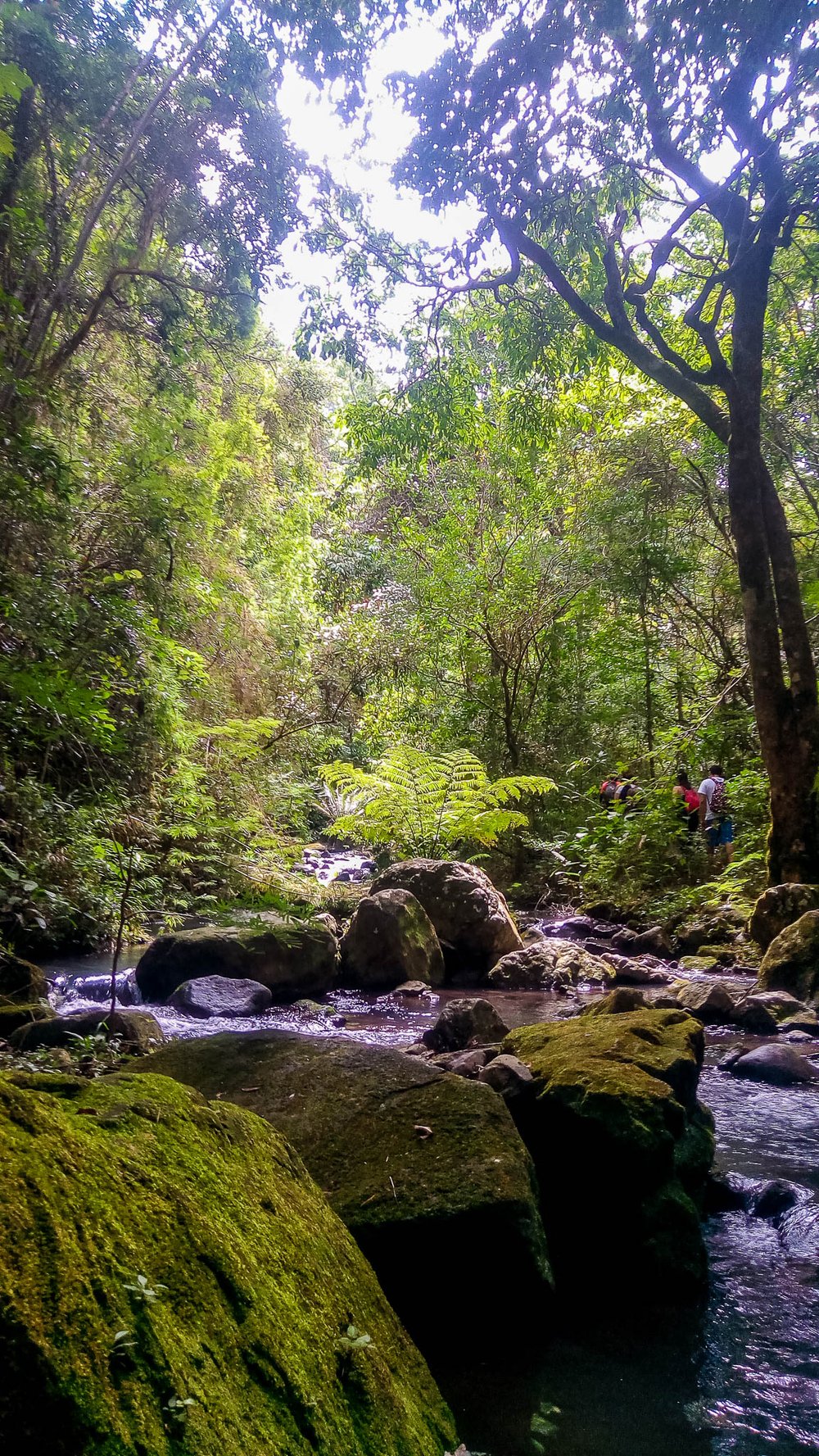 Trekking  Quarta Queda 