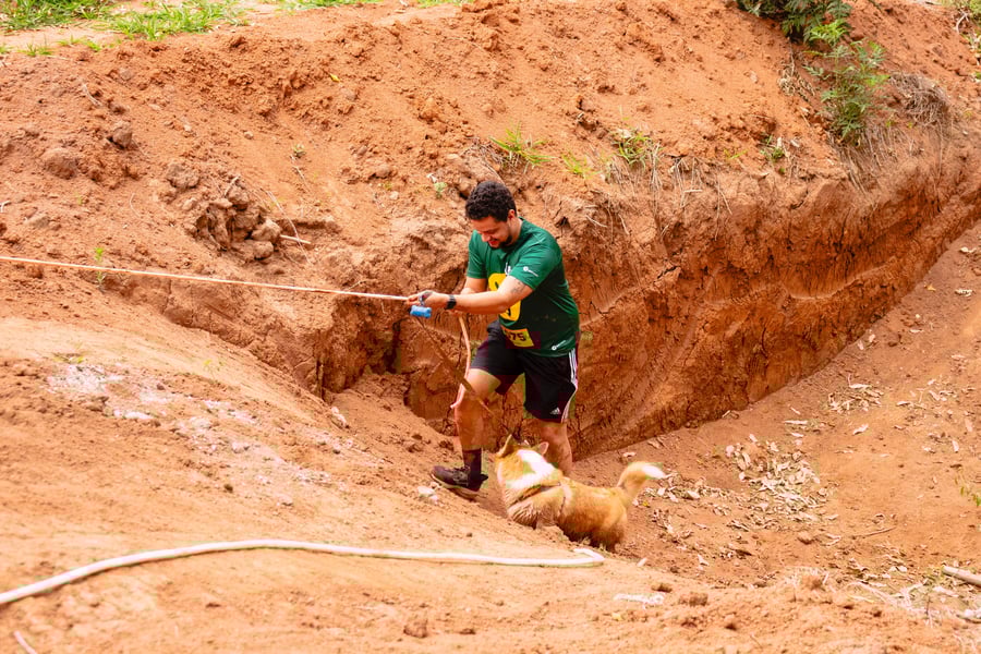 Desafio Feras Pet Friendly