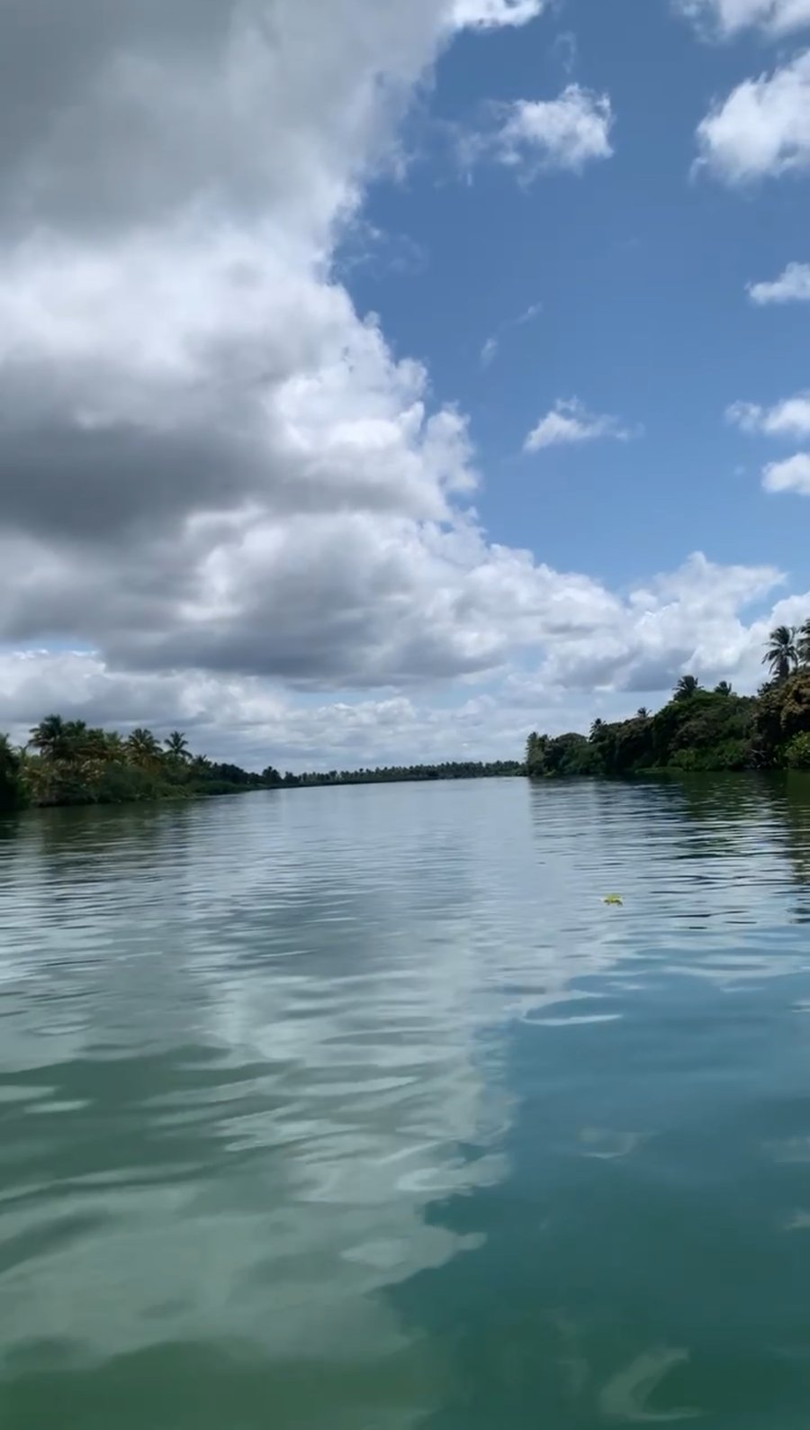 Foz  do rio São francisco