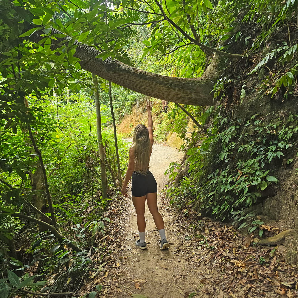 Trilha do Corcovado / Parque Lage - Rio de Janeiro