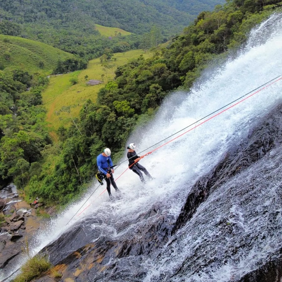CARNAVAL PASSA VINTE