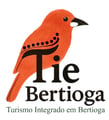 Logo - Flor e Cura 