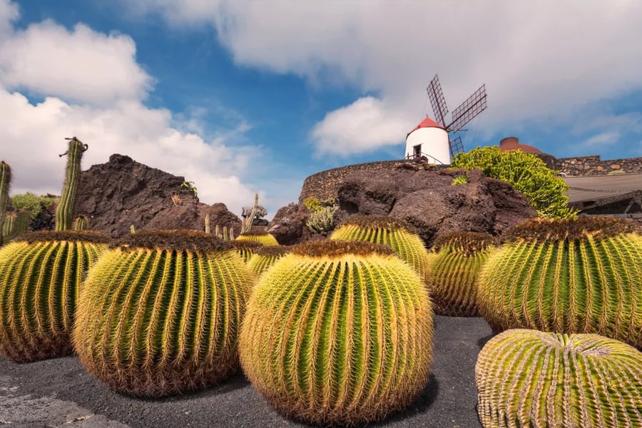 Benefícios do Combo  Seguro viagem incluso.  Guias especializados em português.  Flexibilidade de roteiro (opções extras de passeios).  Atendimento 24h durante a viagem.  Vantagens para seniores (menos caminhada, acessibilidade, jantares com música, horários confortáveis)