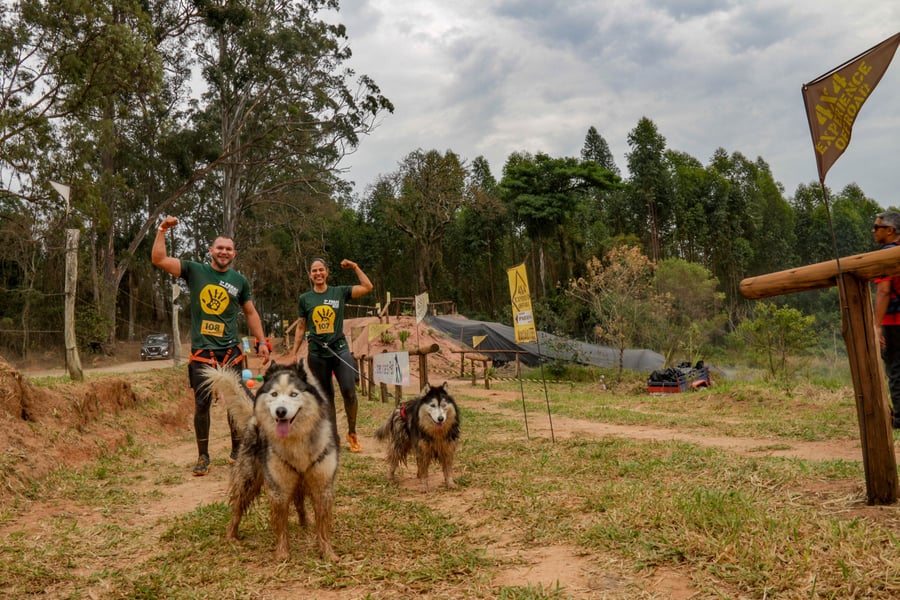 Desafio Feras Pet Friendly