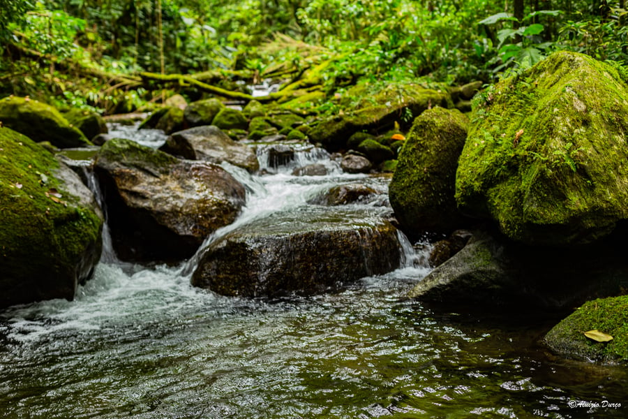 Trilha Vale Verde Cachoeira do Elefante em Bertioga