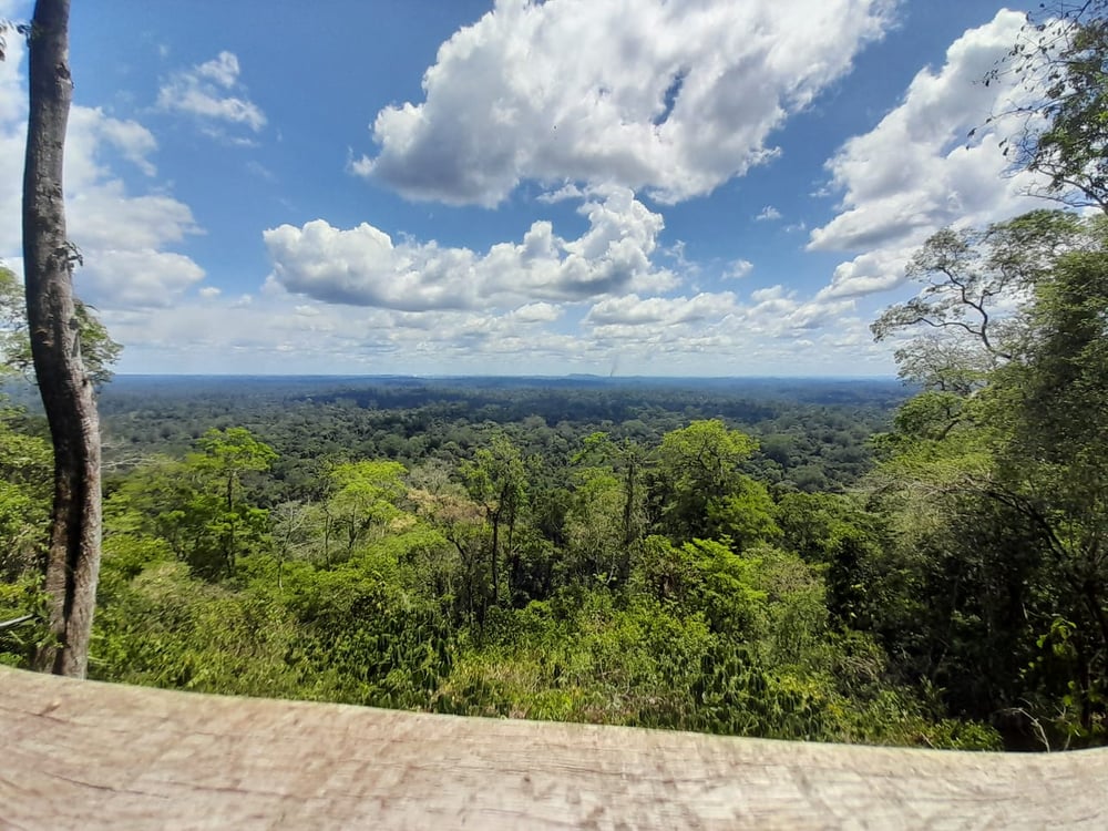 Bem vindo(a) ao Maior Parque de Floresta Tropical do Mundo (Foto: Mario Charles).