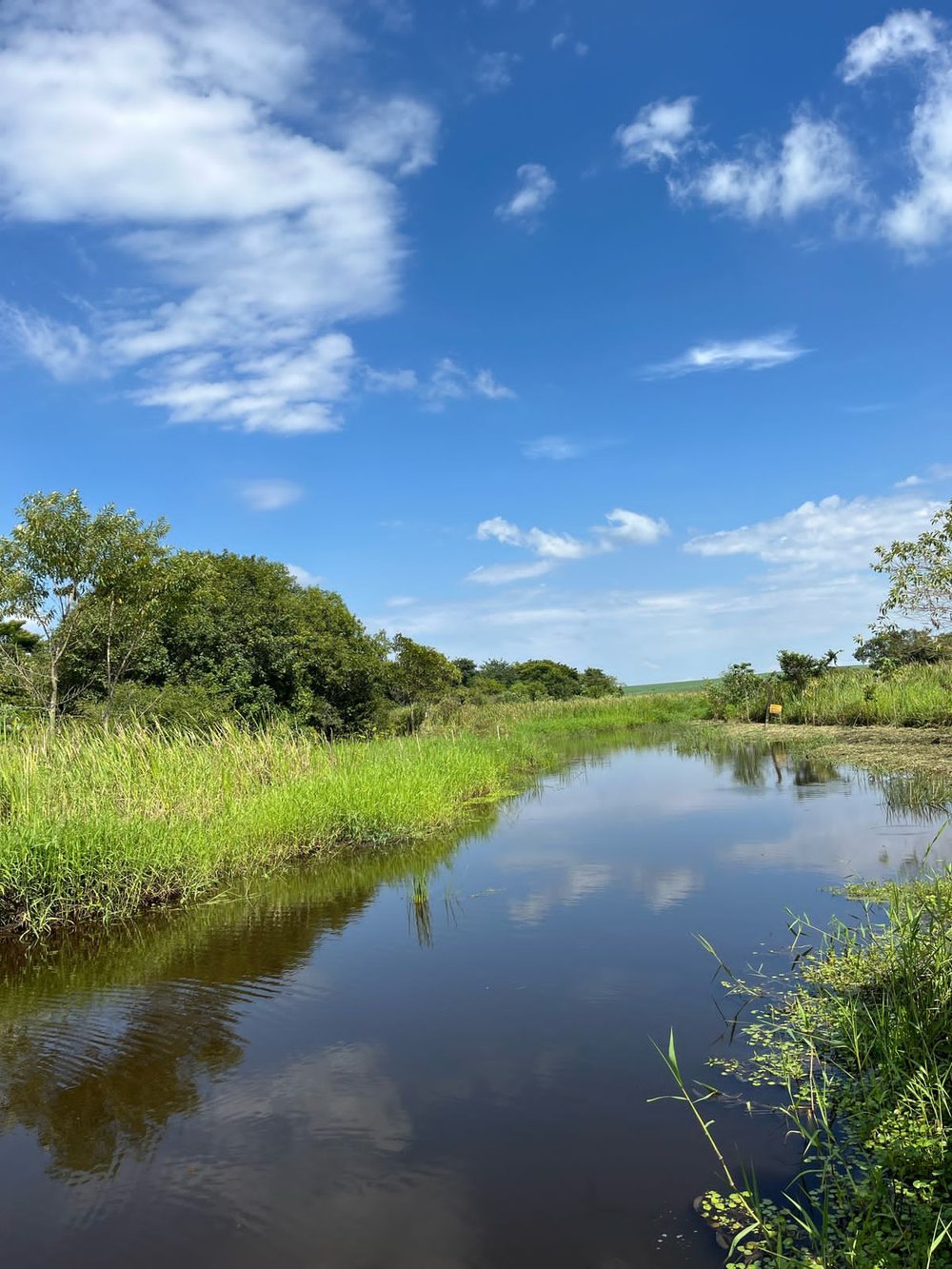 Natureza Guiada - ribeirão