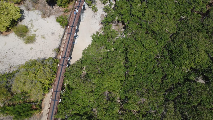 Circuito Praias Piauienses - Mirante do Cajueiro Rei (O maior cajueiro do mundo)