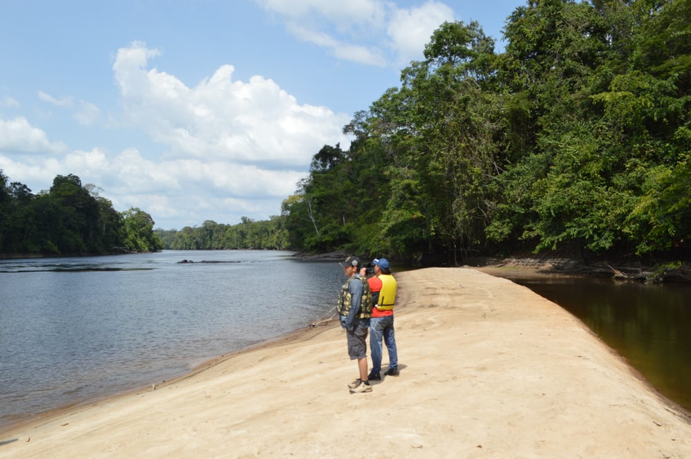 Conexão Profunda: Tumucumaque, Onde a Natureza Abraça Você (Foto: Victor Hugo).