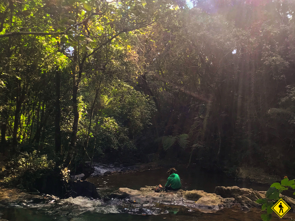 Trilha Com Cachoeira No Japi  