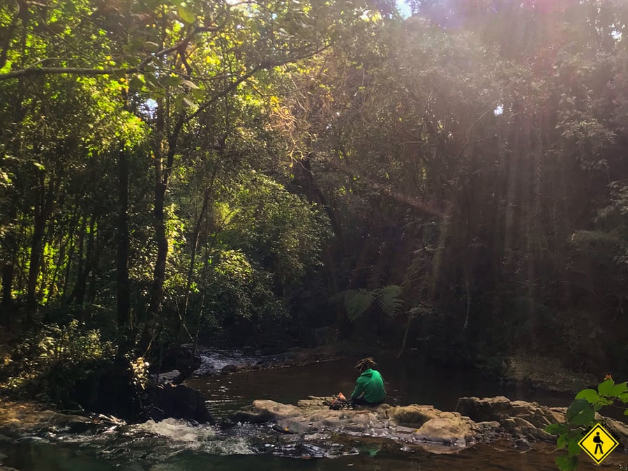 Trilha Com Cachoeira No Japi  