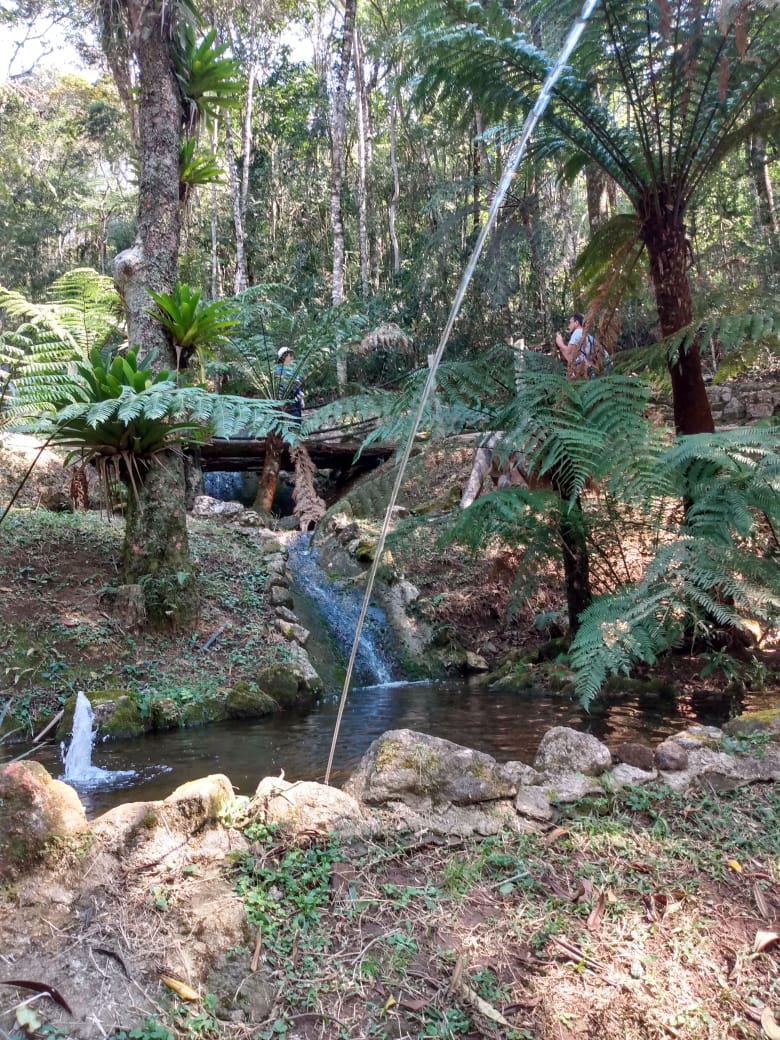 13/08 Santo Antonio do Pinhal e Jardins Temáticos EccoParque