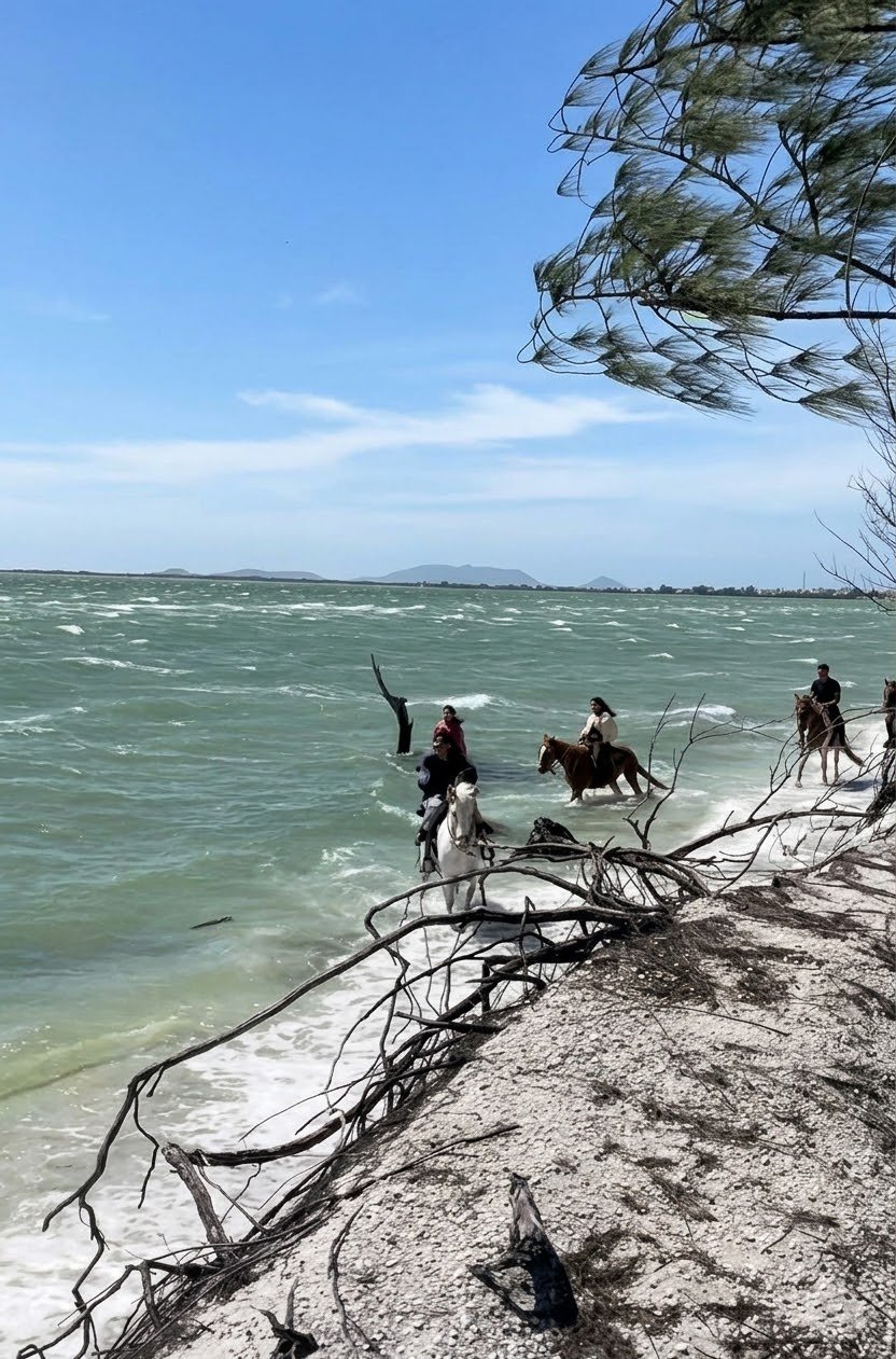 Passeio a Cavalo em Arraial do Cabo