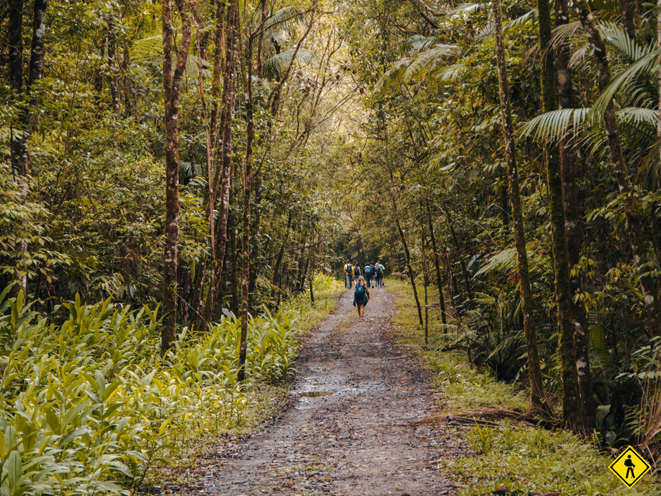 Trilha Do Mirante -  Parque Das Neblinas 