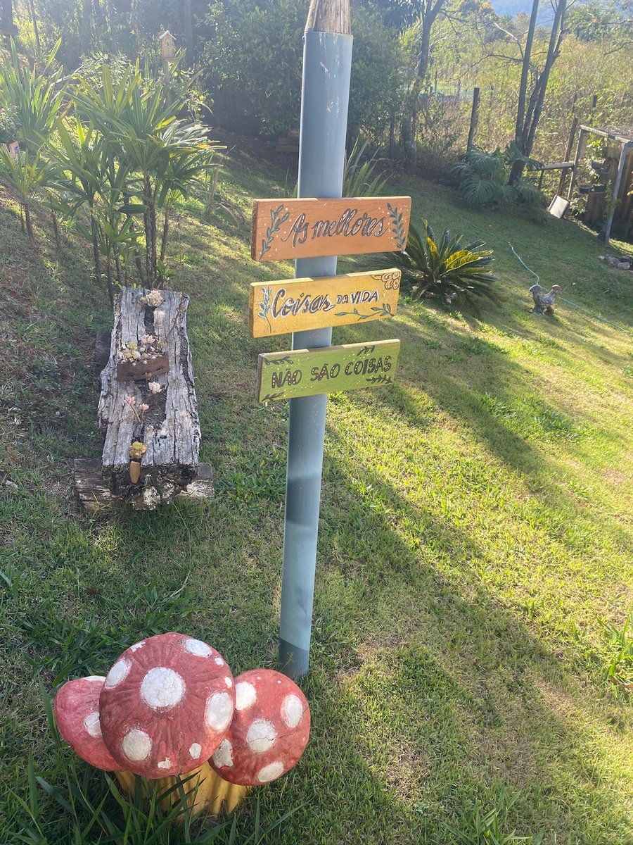 Foto: Sempre Viva