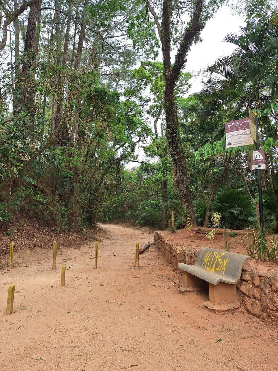 A trilha do Parque Linear Ribeirão das Cabras tem início na Estação Ambiental de Joaquim Egídio, uma histórica estação ferroviária da Companhia Mogiana de Estradas de Ferra que passou muitos anos abandonada até ser reconstruída em 2000.
