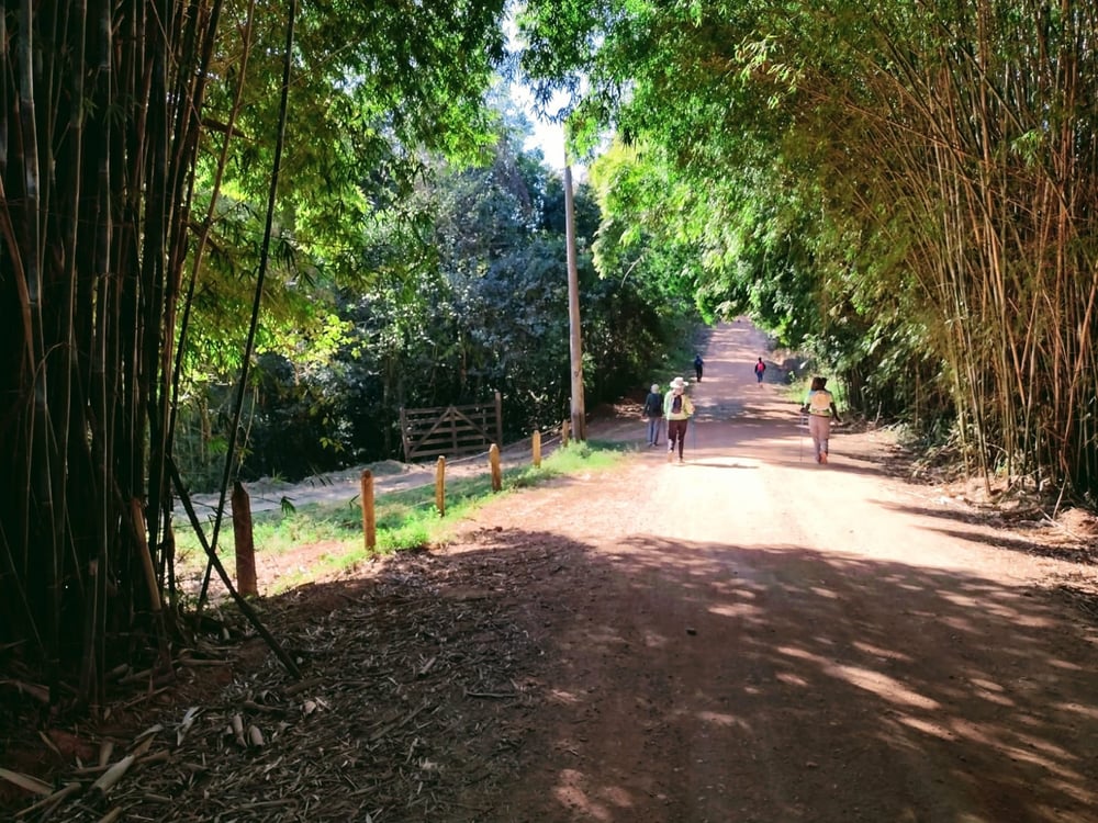 CAMINHADA DE LONGO CURSO - CAMINHO DE NHÁ CHICA (com saída em Inconfidentes/MG)