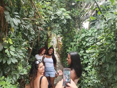 Rio de Janeiro conhecendo a Veneza e o Pantanal Carioca Tour