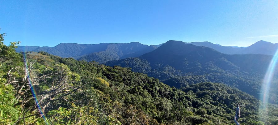 Pico do Piúva