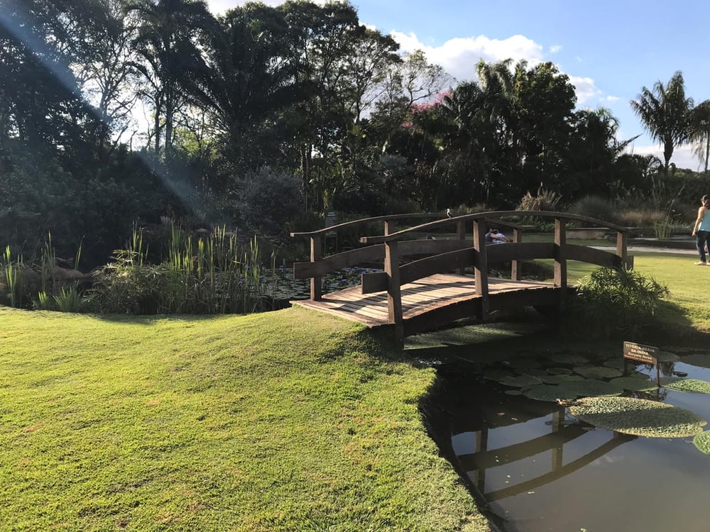 23/04 Jardim Botânico Plantarium e Cultura Leta em Nova Odessa