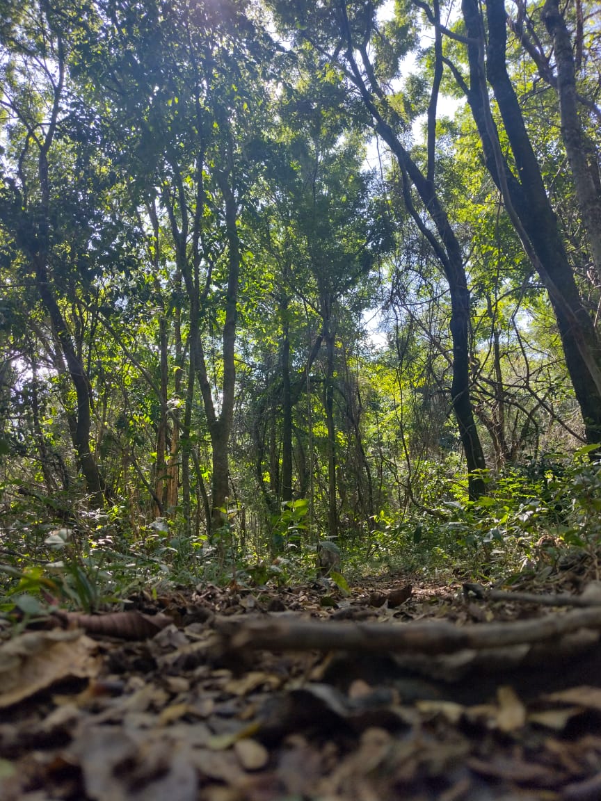 Roteiro 05 - Cavalgada Mantiqueira