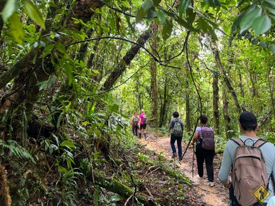 trilha-poço_bonito-natureza