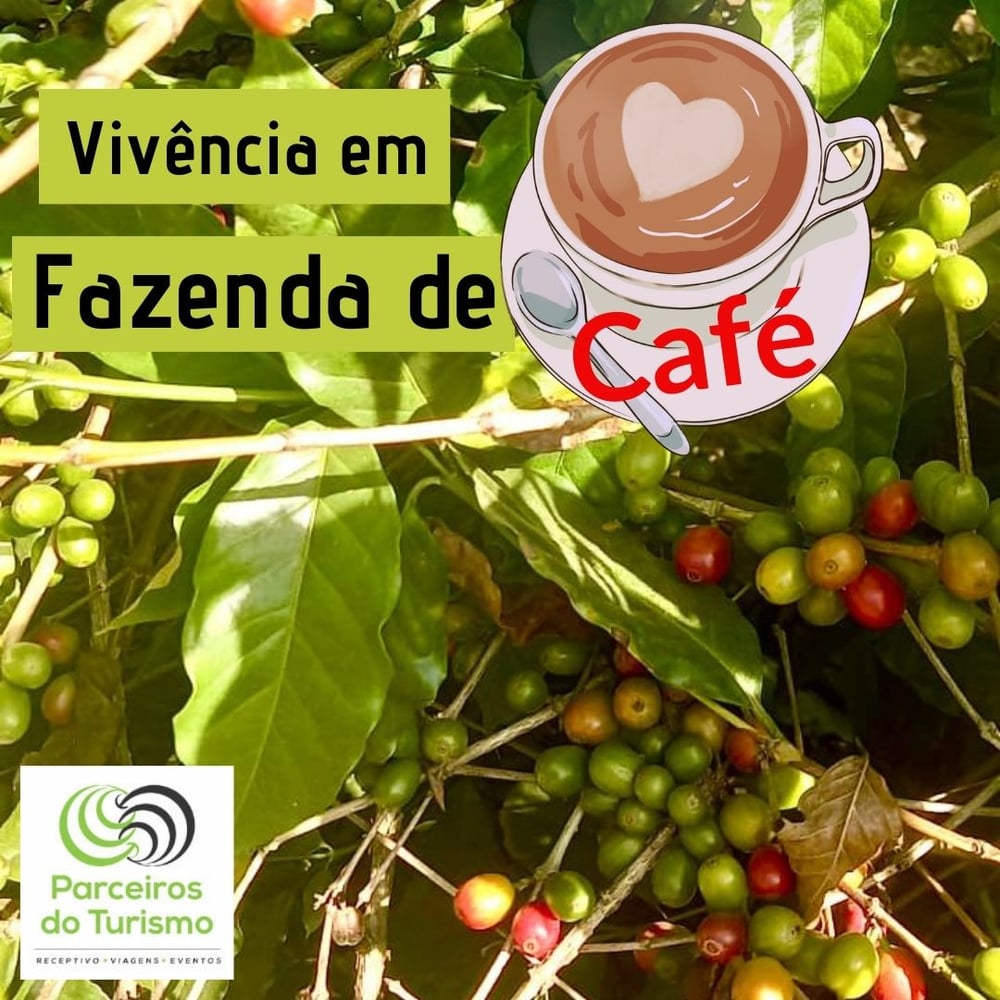 Vivência em Fazenda de Café em Jundiaí 