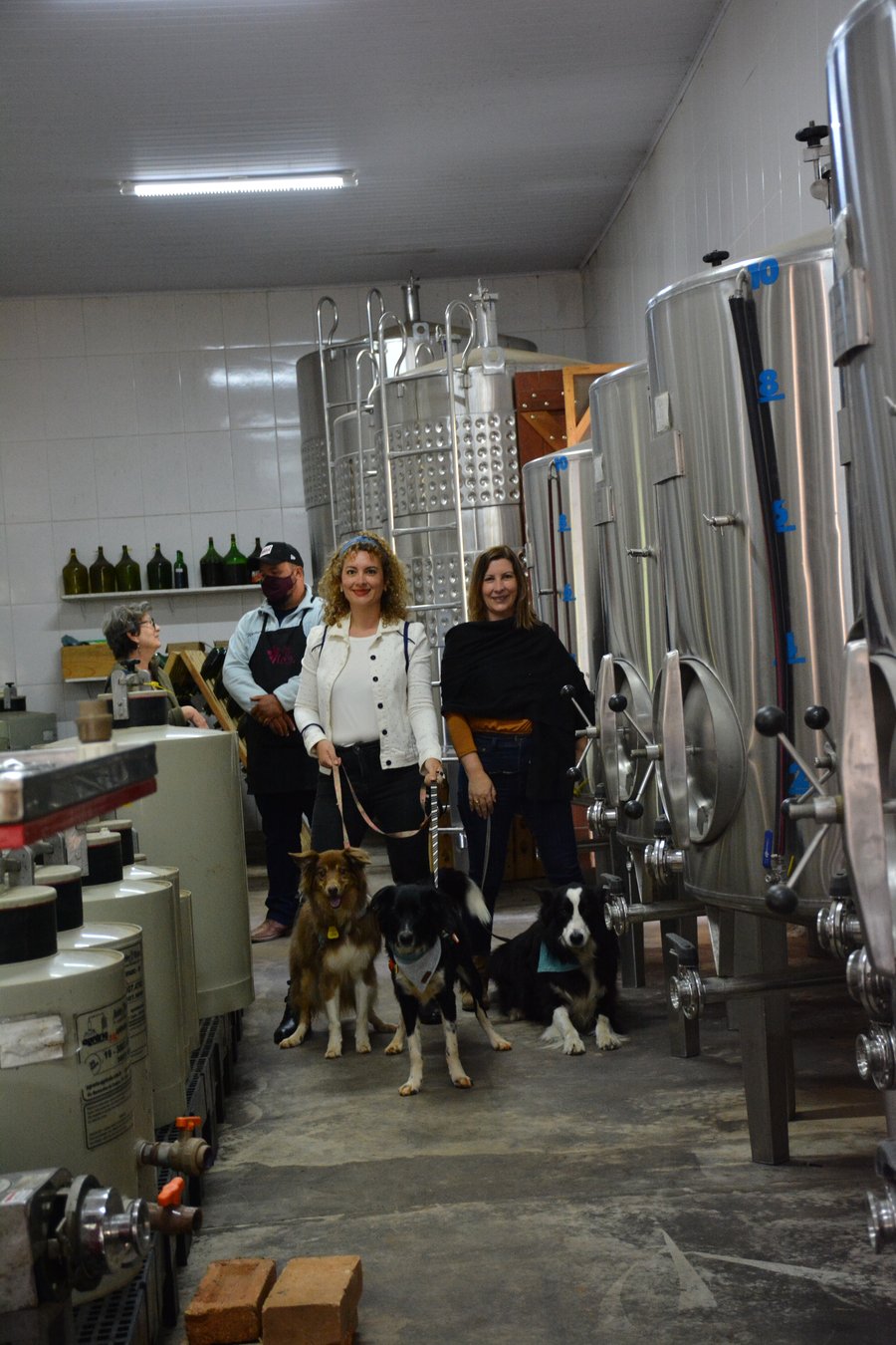 Trilha Pet + Degustação de Vinhos e Almoço na Vinícola Saccomani