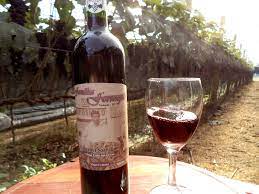 17/07 Vinhedo: Castelo dos Vinhais com café colonial e city tour