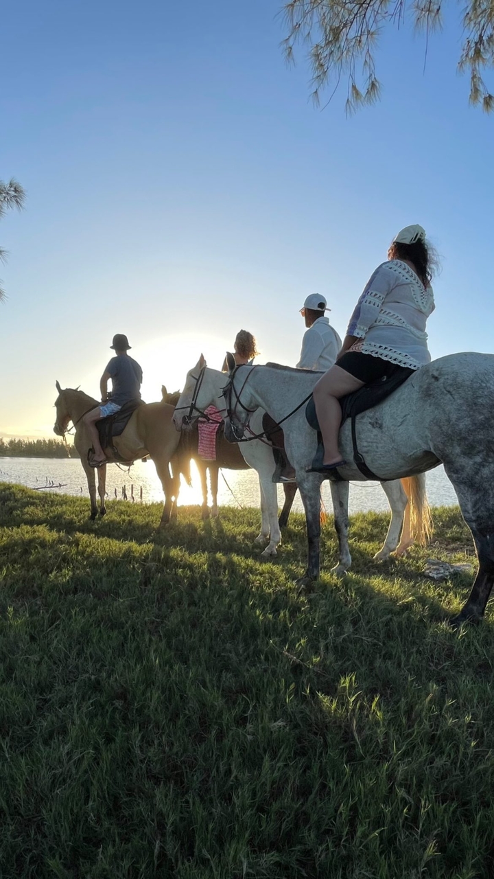 PASSEIO A CAVALO POR LAGOAS, SALINAS E PRAIAS EM MONTE ALTO