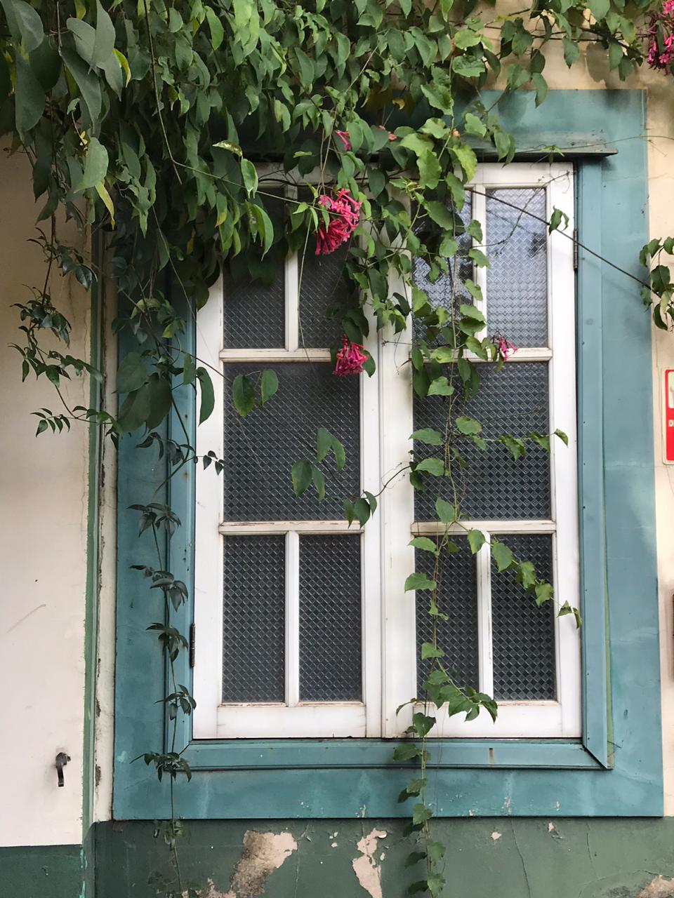 23/04 Jardim Botânico Plantarium e Cultura Leta em Nova Odessa