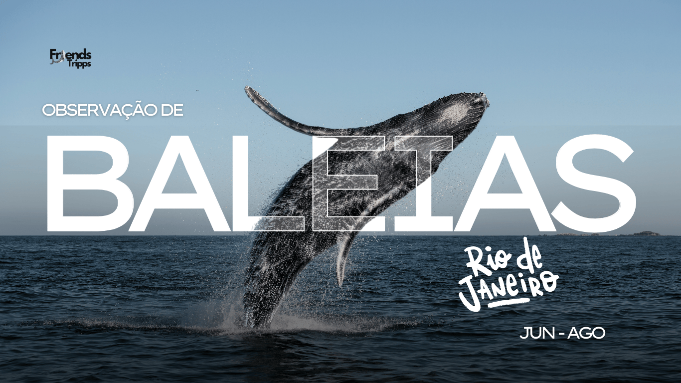 temporada de Baleias