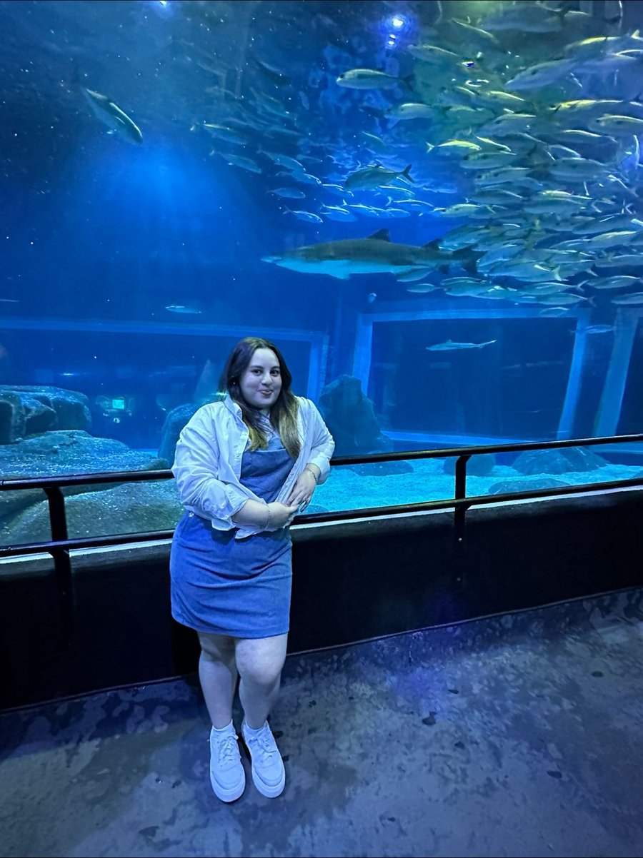 AquaRio Experience – Vida Marinha e Fotos Incríveis no Rio