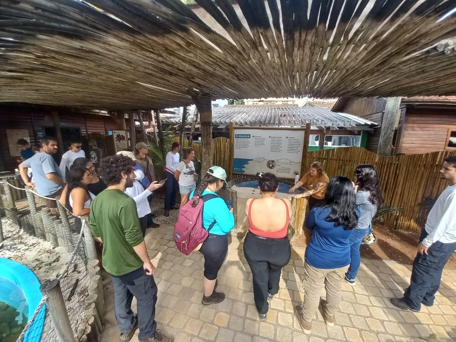 Roteiro Eco-Marinho em Ubatuba: Descubra o Mundo Marinho