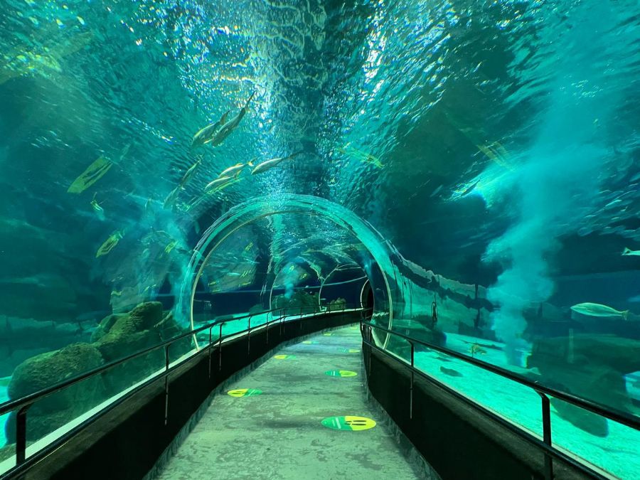 Tunel Aquario