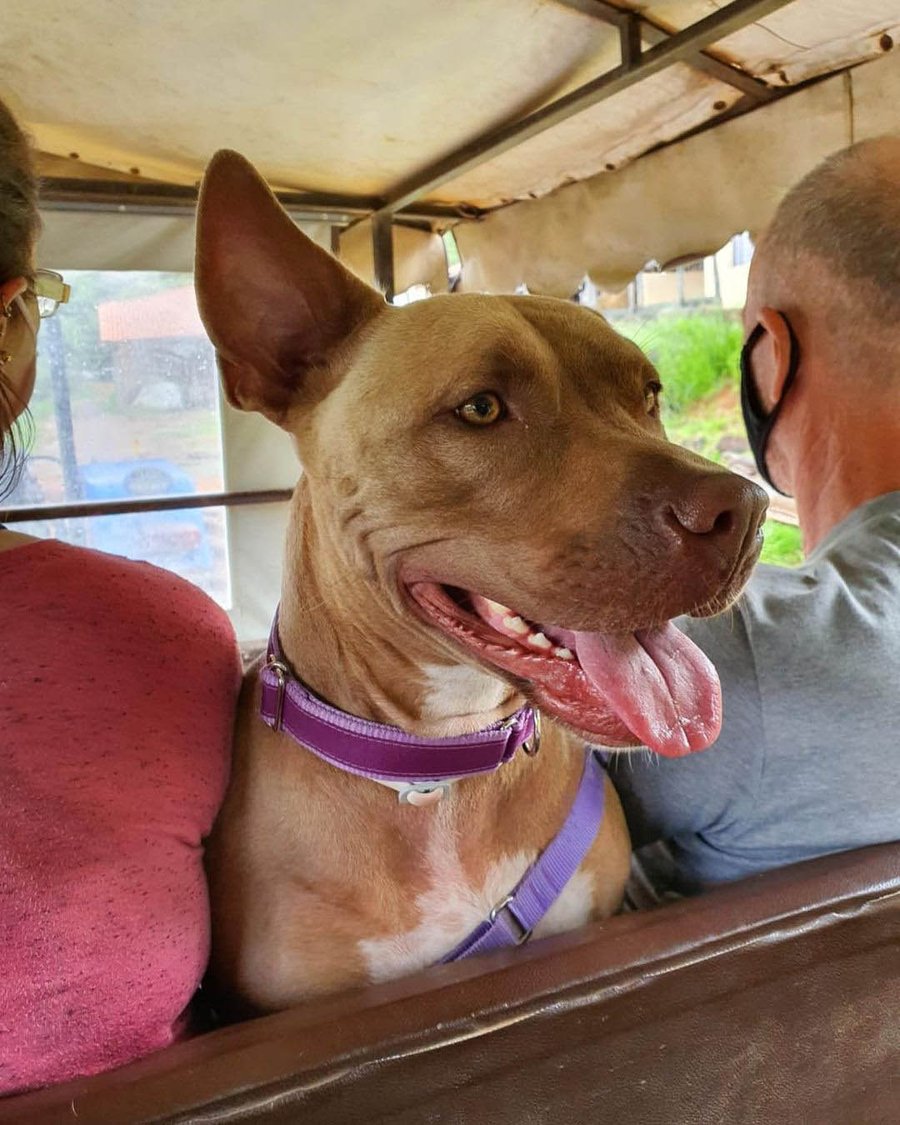 Day Use Hotel Fazenda Parque dos Sonhos