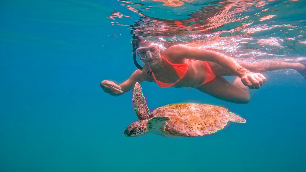 Mergulho de Snorkel na Praia em Arraial do Cabo