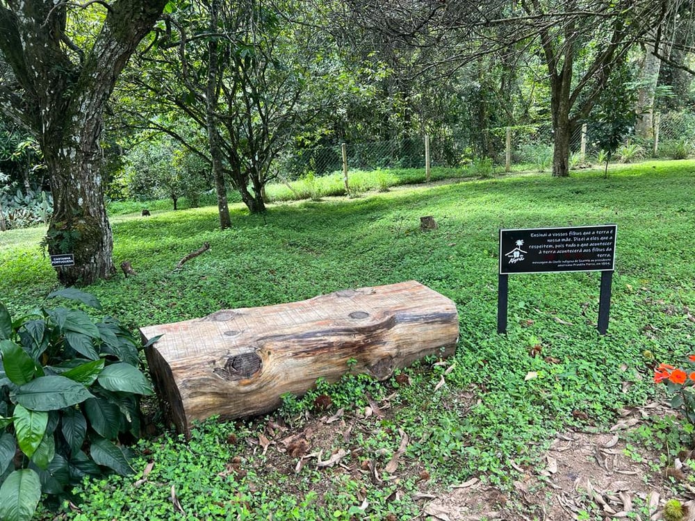 Visita à toscana brasileira: tour do café e do fubá (moinho de pedra) - Espírito Santo do Pinhal