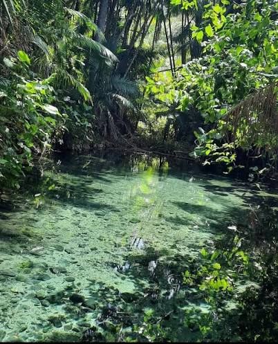 Olho D'agua do Milagre - Sítio Frecheiras Cocal