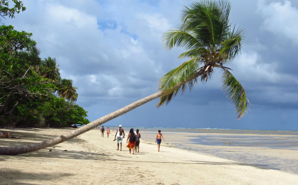 Ilha de Boipeba - Excursão