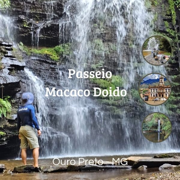 Safari do Macaco Doido em São Bartolomeu