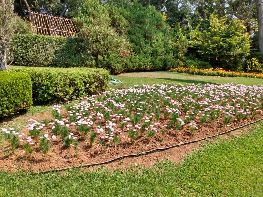 13/08 Santo Antonio do Pinhal e Jardins Temáticos EccoParque