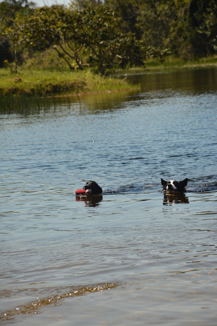 Aventura na praia Peruíbe pet friendly trilha, barco, pousada 