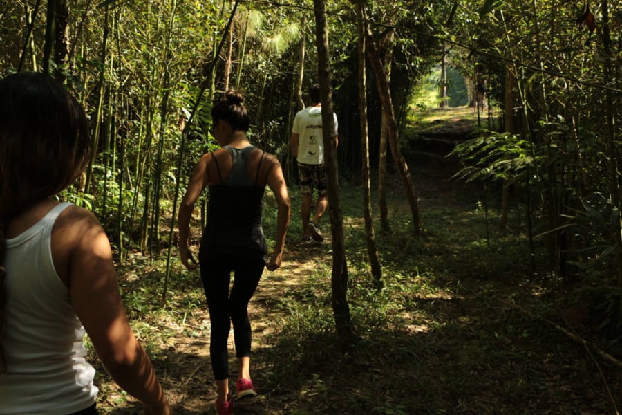Day Use Aventura Pet com Trilha de Lama