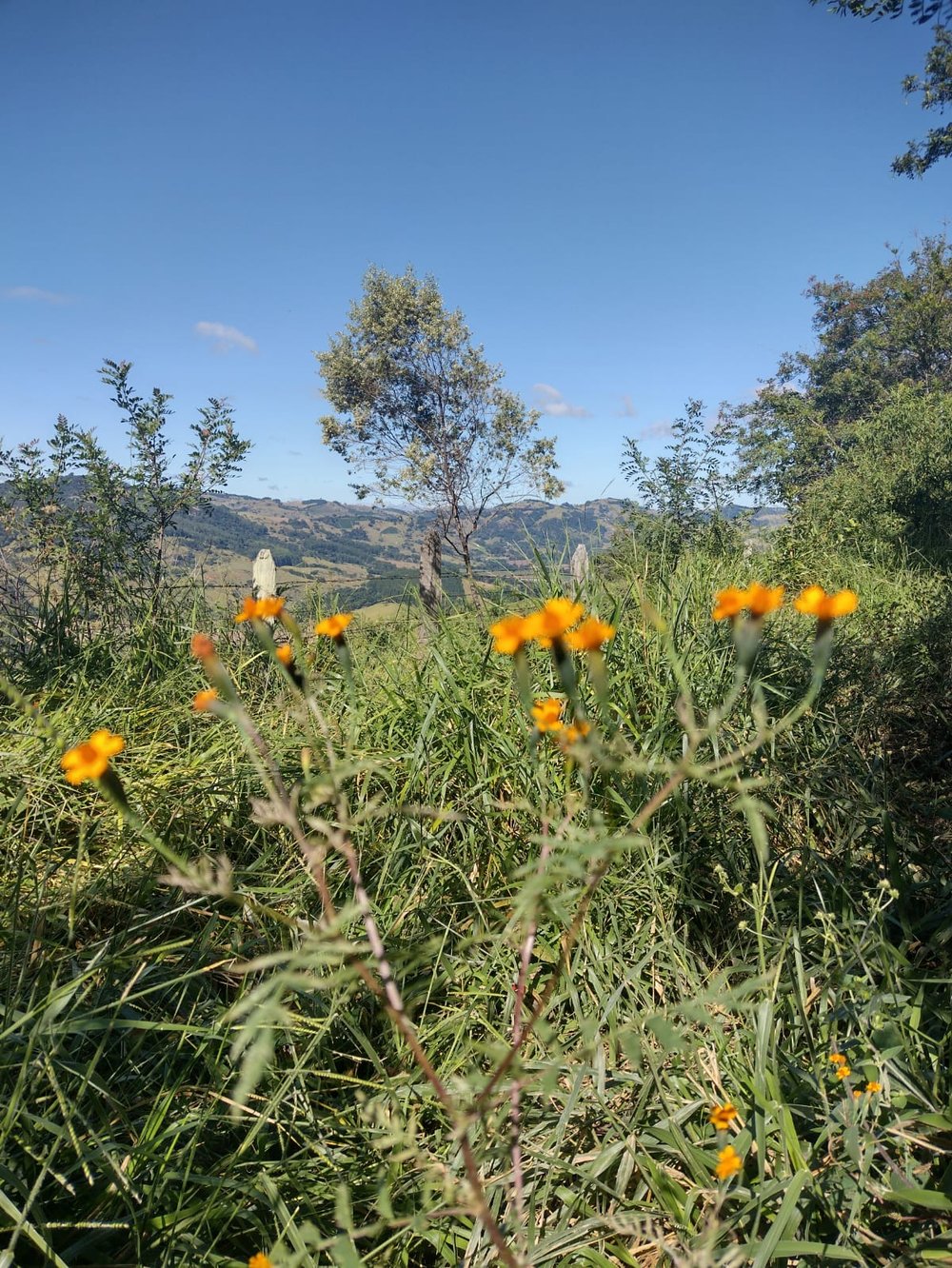 Roteiro 05 - Cavalgada Mantiqueira