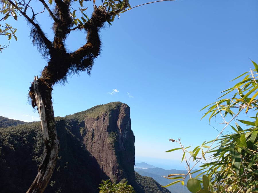Pico do Corcovado